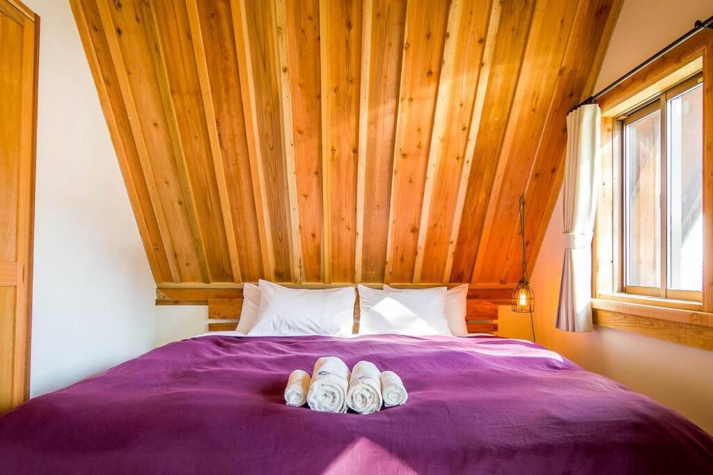 Misorano Chalet Hakuba Dış mekan fotoğraf
